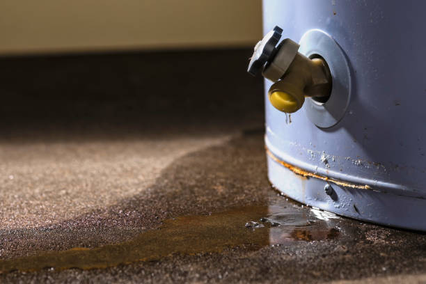 Best Water damage restoration near me  in Sharon, MS