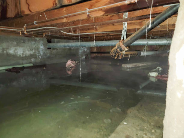 Best 24-hour water damage restoration  in Sharon, MS