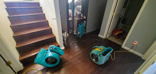 , MS Water damage restoration Company