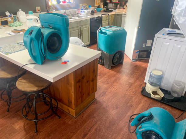 Best Emergency water damage restoration  in Sharon, MS