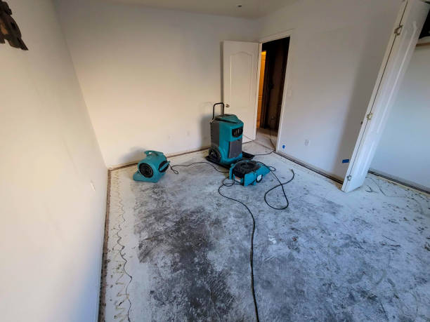 Best 24-hour water damage restoration  in Sharon, MS