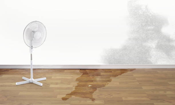 Best Flooded house restoration  in Sharon, MS