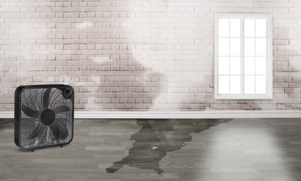  Sharon, MS Water damage restoration Pros