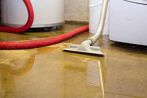 Best 24/7 water damage repair  in Sharon, MS