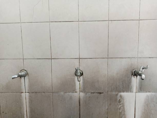 Best Water damage contractors near me  in Sharon, MS