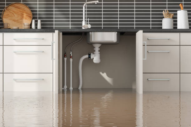 Best Mold removal after water damage  in Sharon, MS
