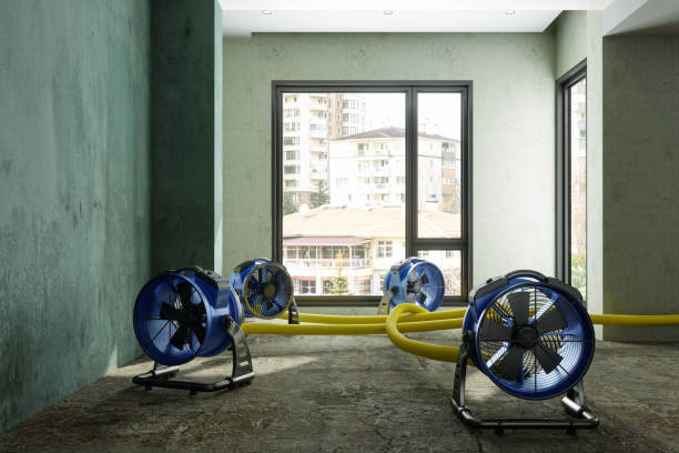 Best Water damage restoration near me  in Sharon, MS